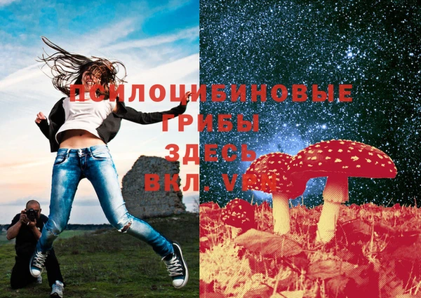 ешки Кукмор