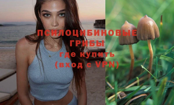 ешки Кукмор