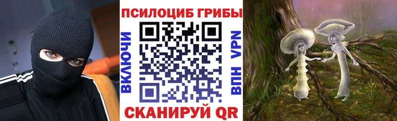 Купить закладки  Клин  Псилоцибиновые грибы Psilocybe 